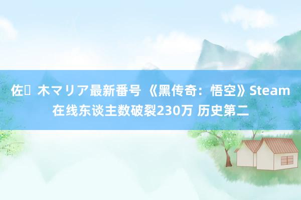 佐々木マリア最新番号 《黑传奇：悟空》Steam在线东谈主数破裂230万 历史第二