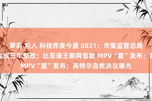 萝莉 后入 科技昨夜今晨 0831：市集监管总局督导阿里巴巴集团完成三年整改；比亚迪王朝网首款 MPV“夏”发布；英特尔自救决议曝光