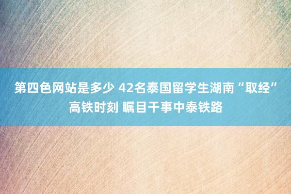 第四色网站是多少 42名泰国留学生湖南“取经”高铁时刻 瞩目干事中泰铁路