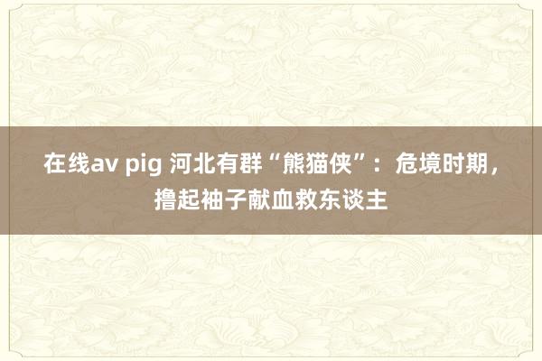 在线av pig 河北有群“熊猫侠”：危境时期，撸起袖子献血救东谈主