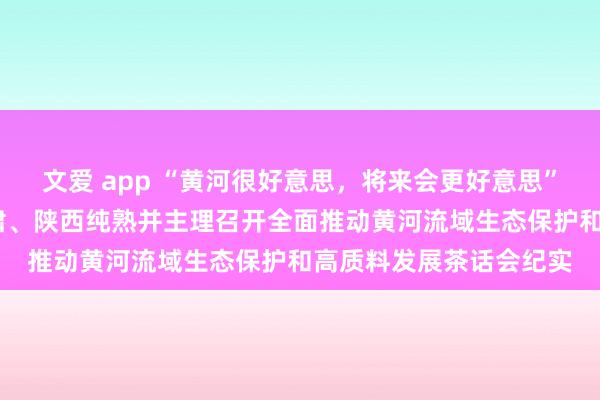 文爱 app “黄河很好意思，将来会更好意思”——习近平总文书在甘肃、陕西纯熟并主理召开全面推动黄河流域生态保护和高质料发展茶话会纪实