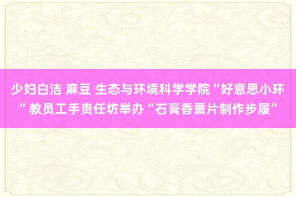 少妇白洁 麻豆 生态与环境科学学院“好意思小环”教员工手责任坊举办“石膏香薰片制作步履”