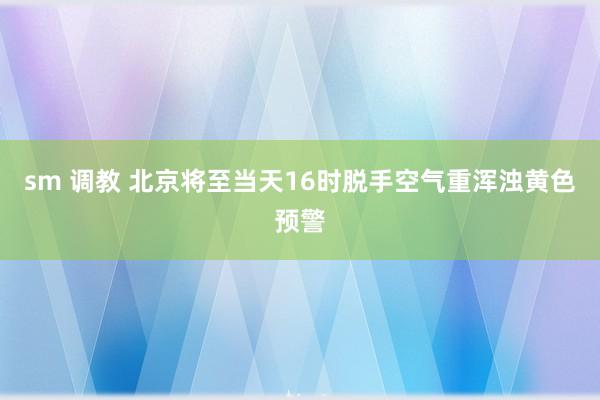 sm 调教 北京将至当天16时脱手空气重浑浊黄色预警