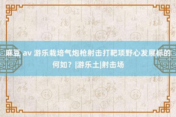 麻豆 av 游乐栽培气炮枪射击打靶项野心发展标的何如？|游乐土|射击场